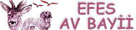 https://www.efesavbayii.com